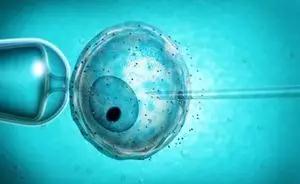 Fig.01